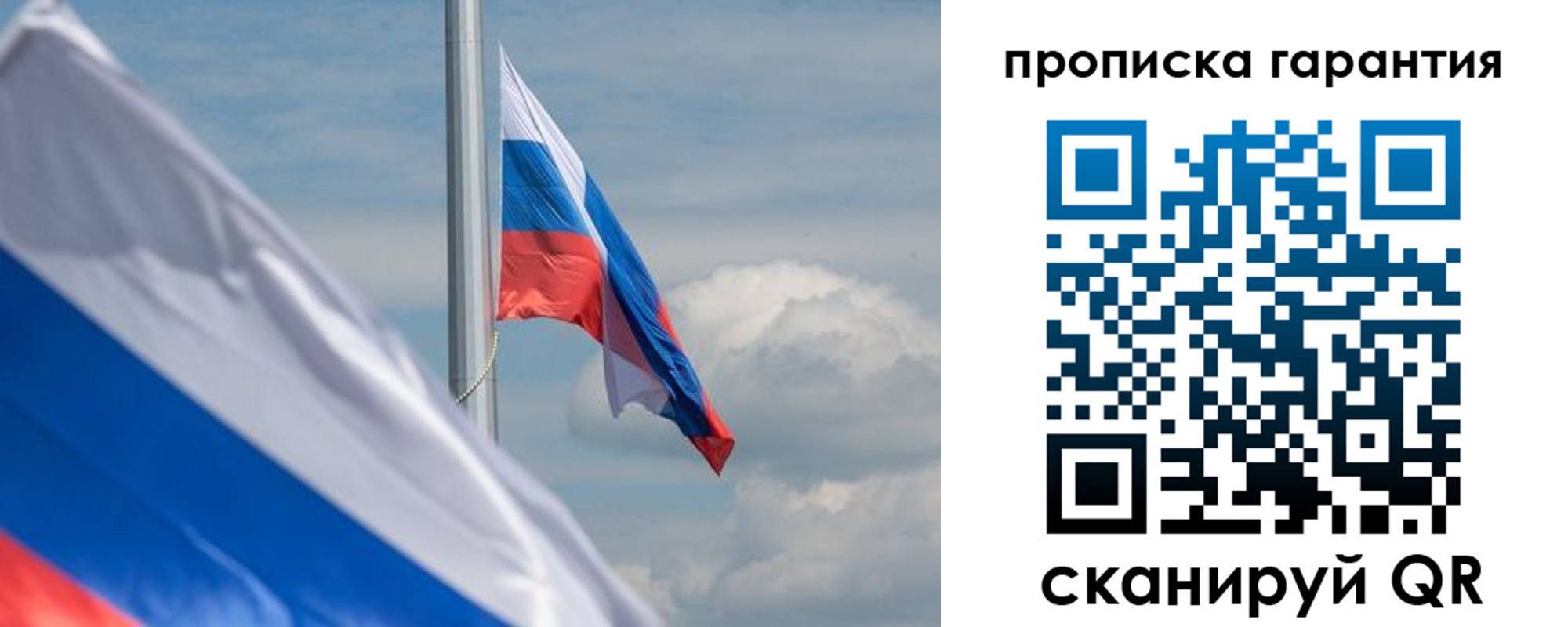 прописка поиск в Солнечногорске